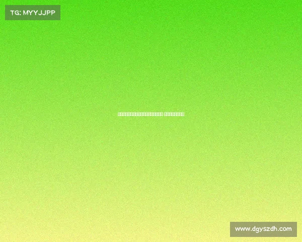 桑乔:埃梅里深度沟通让我决定加盟维拉 迫不及待为他效力